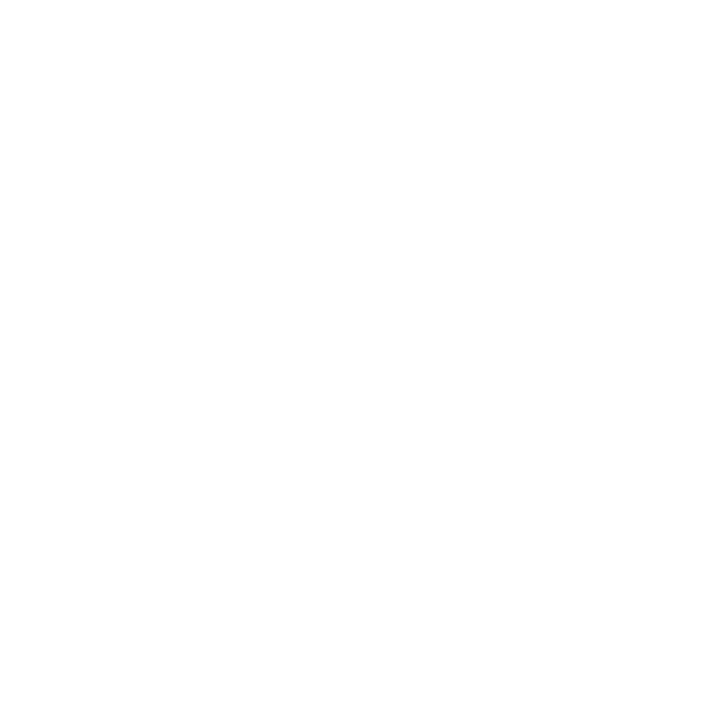 logo-2025-icon-alternative